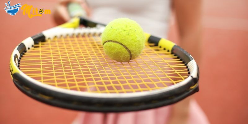 Đôi nét về thể loại trực tuyến cần vợt bạn nên biết