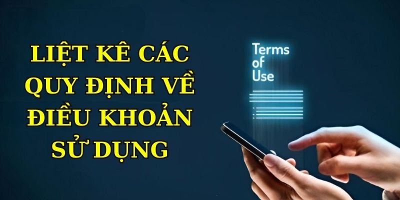 Liệt kê các quy định về điều khoản sử dụng