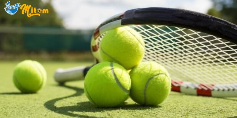 Bật mí mẹo hay khi tham gia cá cược quần vợt