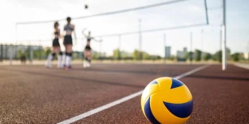 Hướng dẫn xem trực tiếp bóng chuyền tại MitomTV